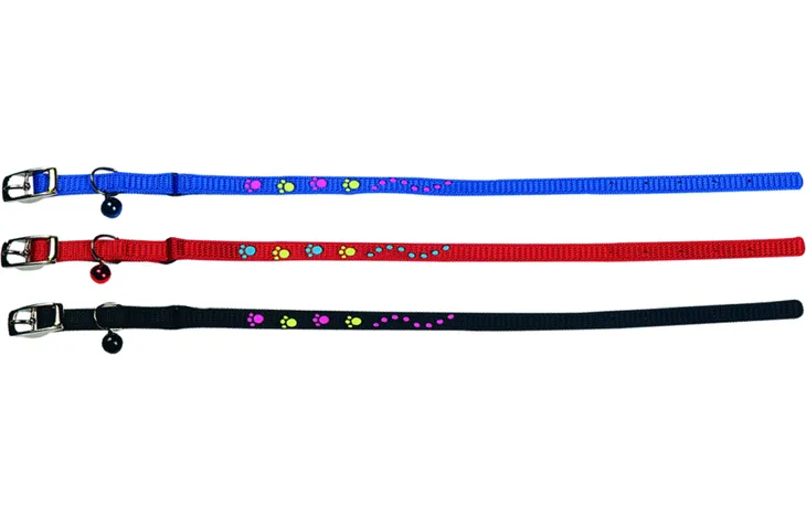 Kattaól m/teygju og bjöllu, beltissylgju (ýmsir litir)