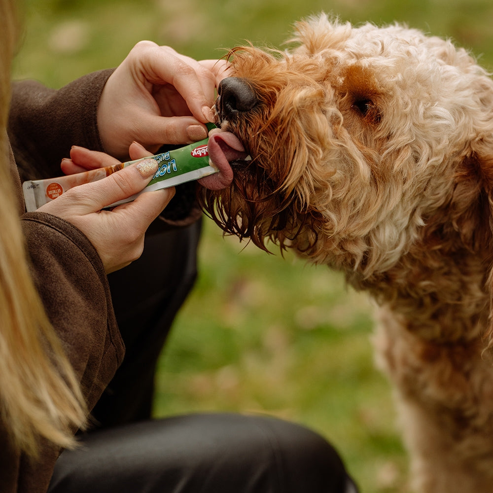 Nobby StarSnack LICKY Duck 75gr