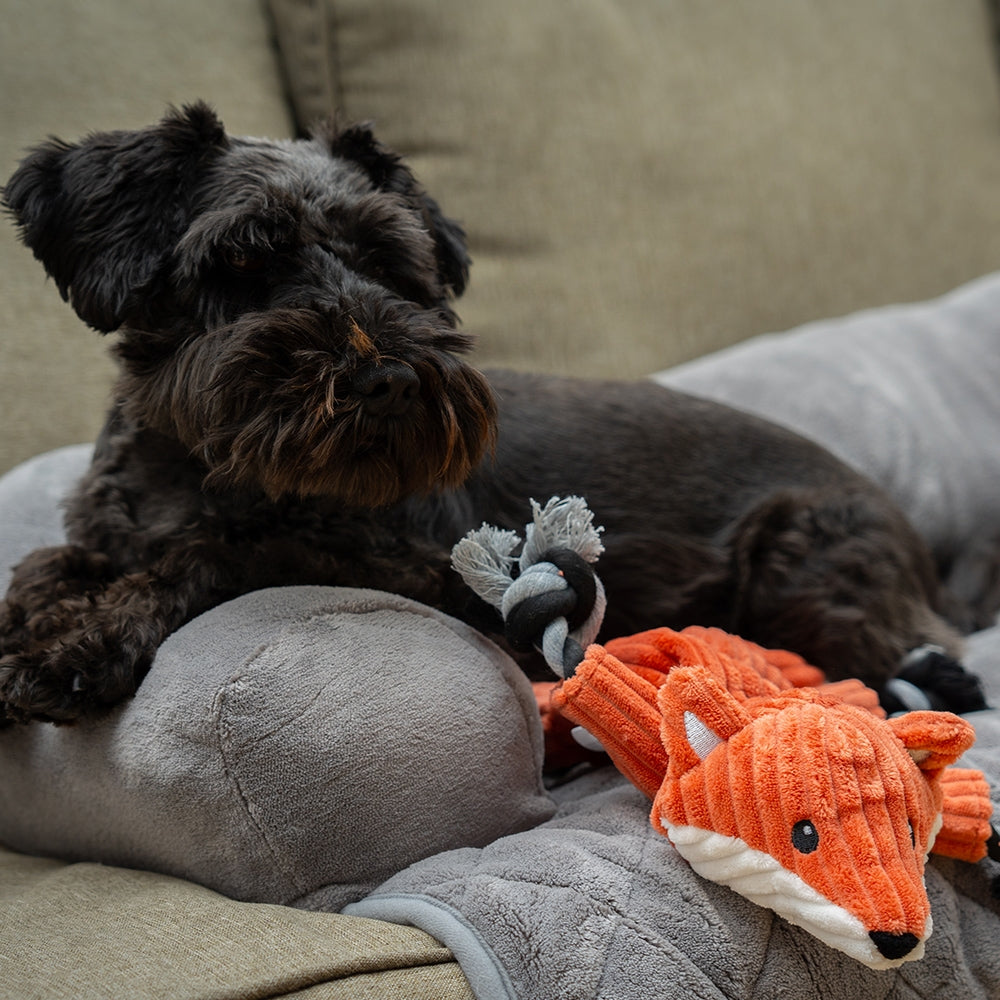 Nobby Plush Toy with Rope, bangsi REFUR