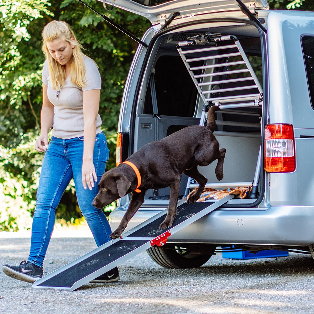 Nobby Rampur fyrir hunda, ÁL samanbrjótanlegur L 1,52m br 36 cm