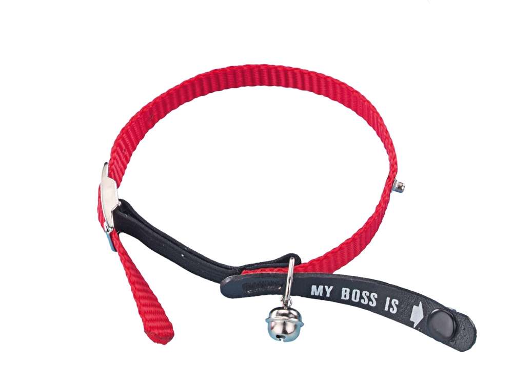 Nobby MyBoss Katta ól með beltissylgju