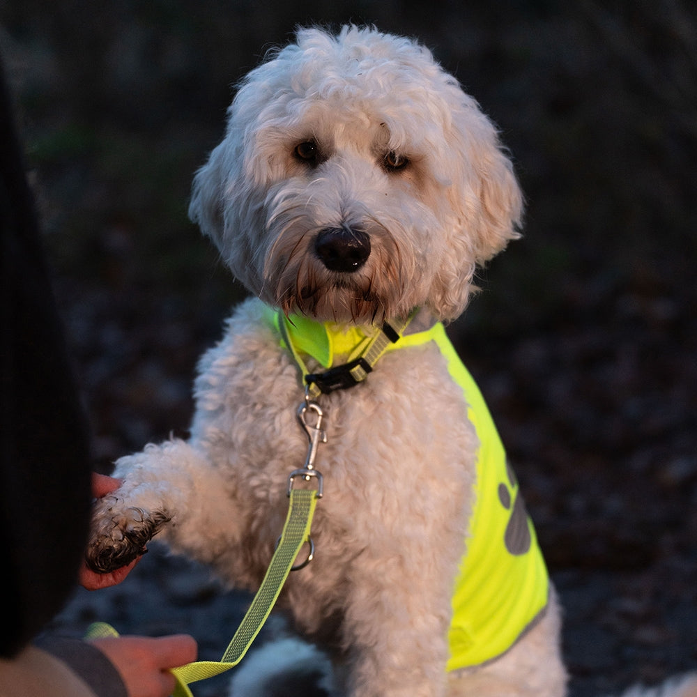Safety Vest, endurskins vesti hunda (XS-XL)