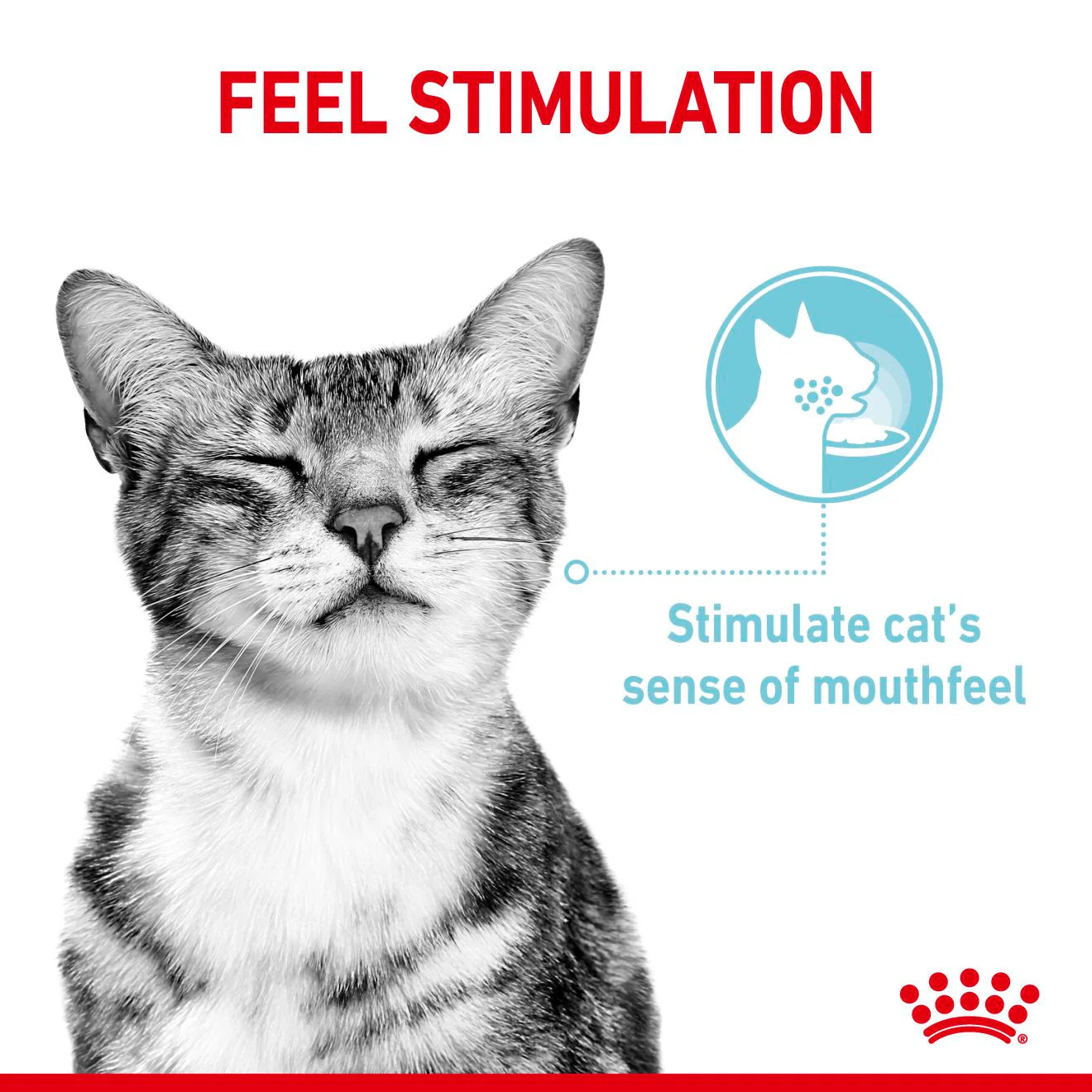 RC Cat SENSORY Feel - BLAUTFÓÐUR