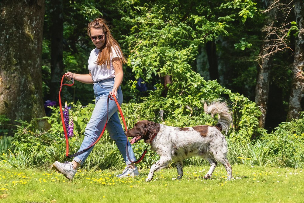 BeeZtees Parinca Premium Leash TAUMUR 3m (3 litir)