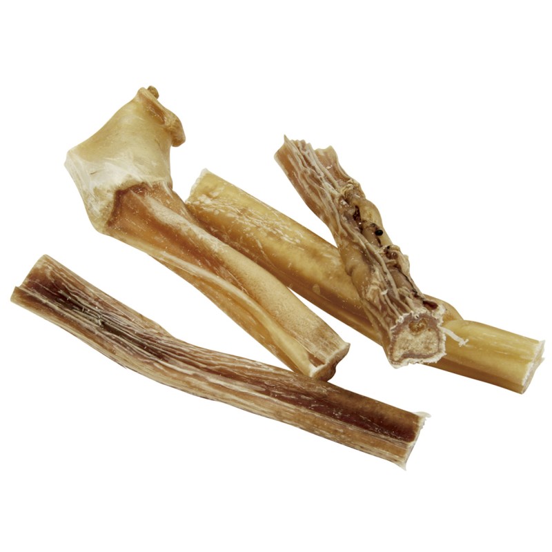 DRIED PIZZLE Þurrkað nautatyppi 12 cm, 50 stk/pk