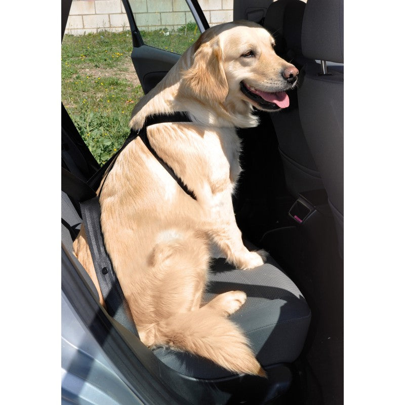 Nayeco Car Harness Öryggisbelti