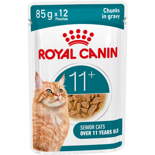 RC Cat AGEING 11+  BLAUTFÓÐUR