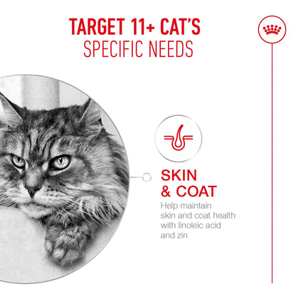 RC Cat AGEING 11+, mynd 7