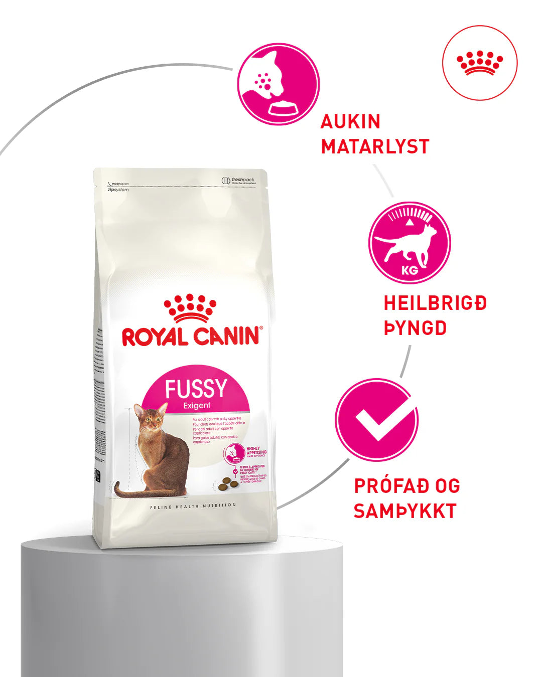 RC Cat FUSSY EXIGENT