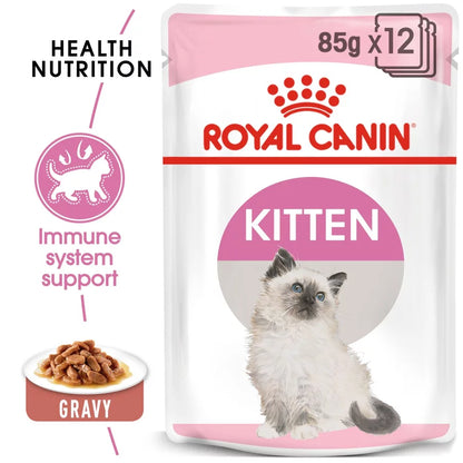RC KITTEN BLAUTFÓÐUR