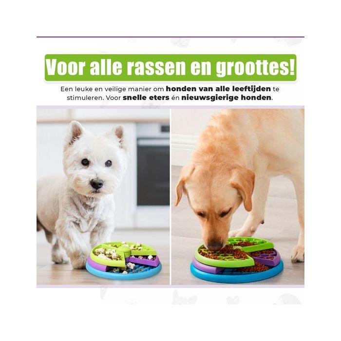 Pet IQ Intellegence Toy, Slow Feeder og hugarleikfimi, skál/dallur á 3 hæðum
