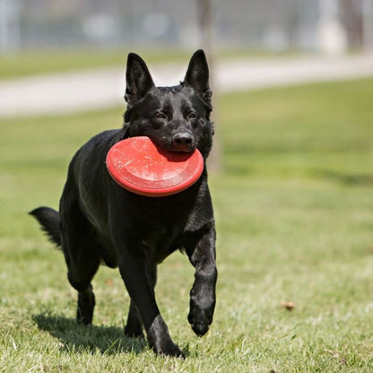 KONG Flyer Frisbee - 2 stærðir, mynd 3