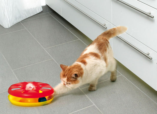 Kitty Roundabout Kisuleikfang