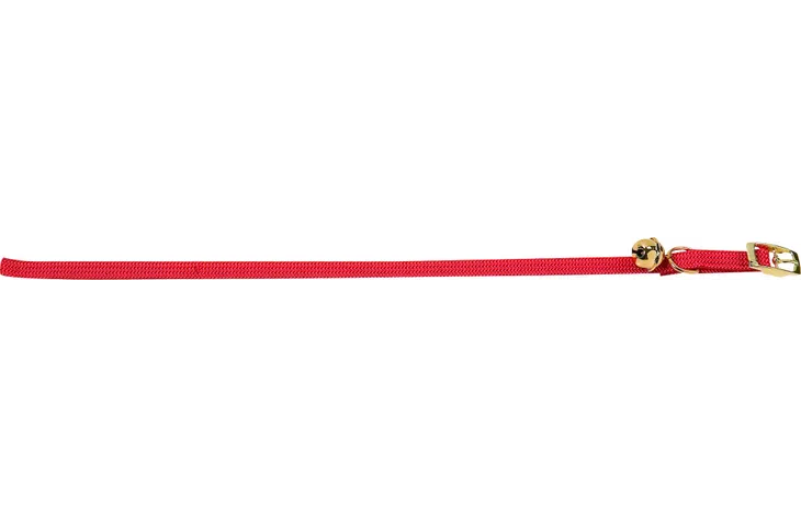 Kattaól m/teygju og bjöllu, beltissylgju (2 litir)