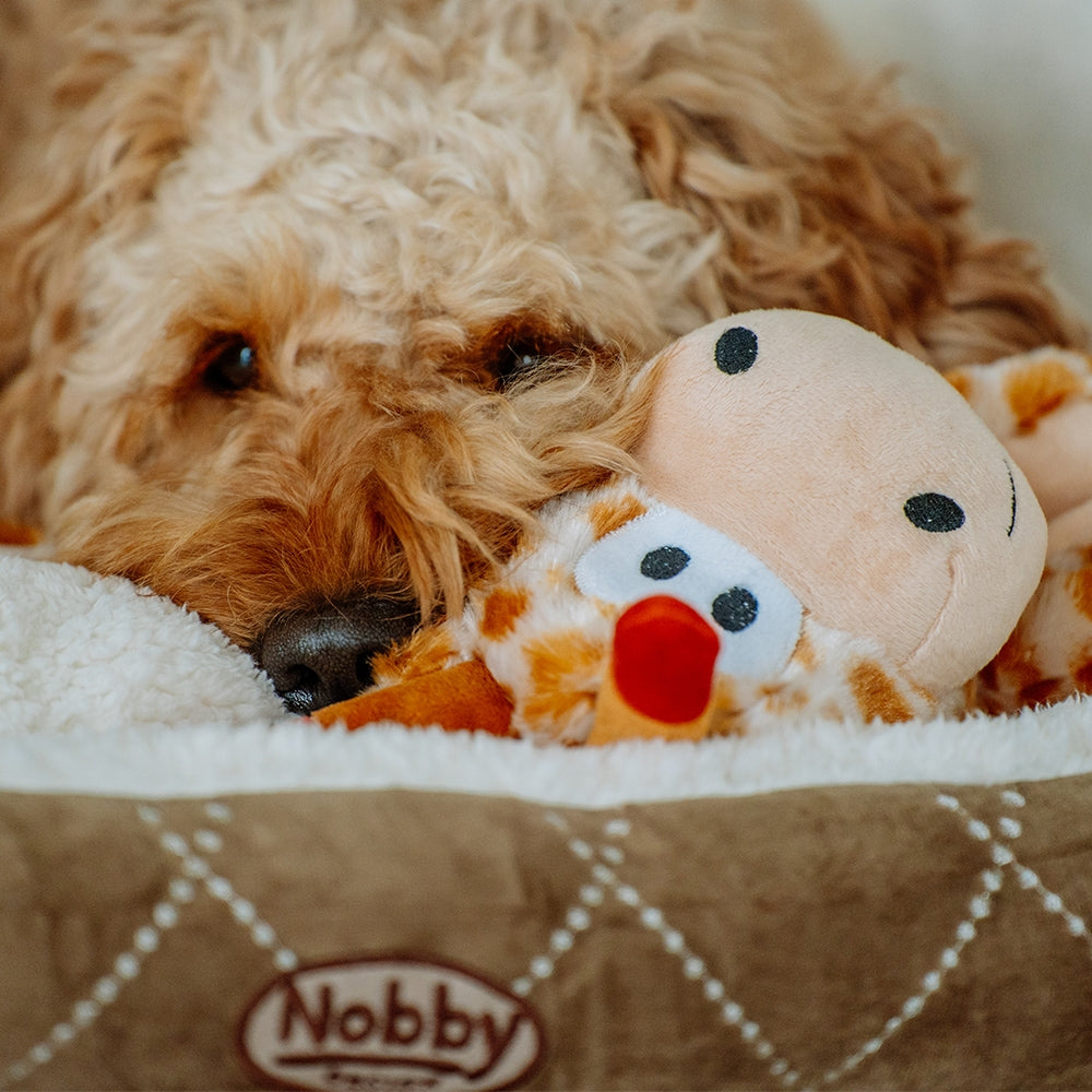Nobby Plush Toy with rope LONG Giraffe, bangsi 113cm