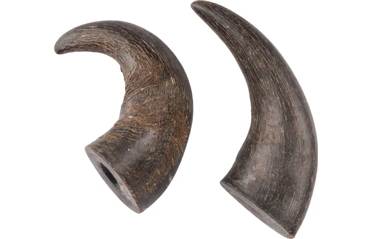 Nature Snack Buffalo Horns, buffaló horn, (2stærðir)
