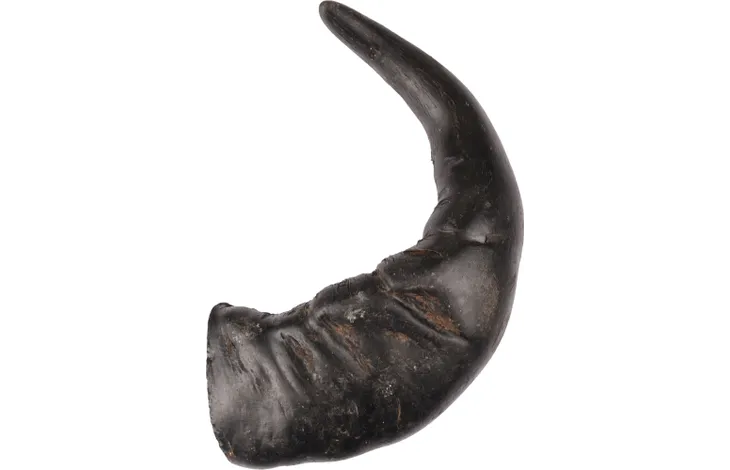 Nature Snack Buffalo Horns, buffaló horn, (2stærðir)