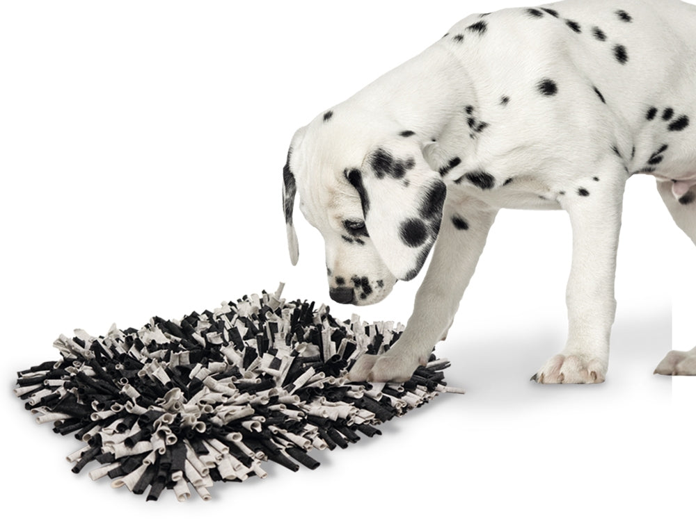 Nobby "Snuffle Mat" 56 x 44 cm, þefmotta