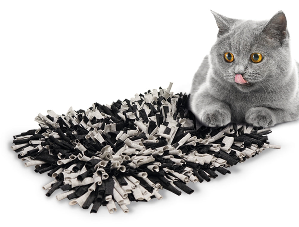 Nobby "Snuffle Mat" 56 x 44 cm, þefmotta