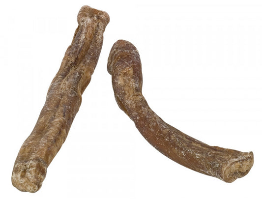 DRIED PIZZLE Þurrkað nautatyppi 12 cm, 1 stk