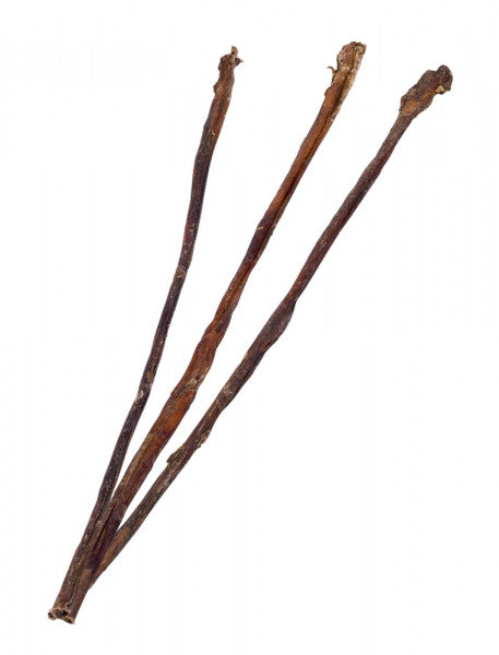 Dried Pizzle - Þurrkuð nautatyppi 70 cm 1 stk