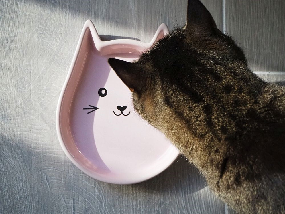 "Kitty Face" keramik skál/dallur 200ml