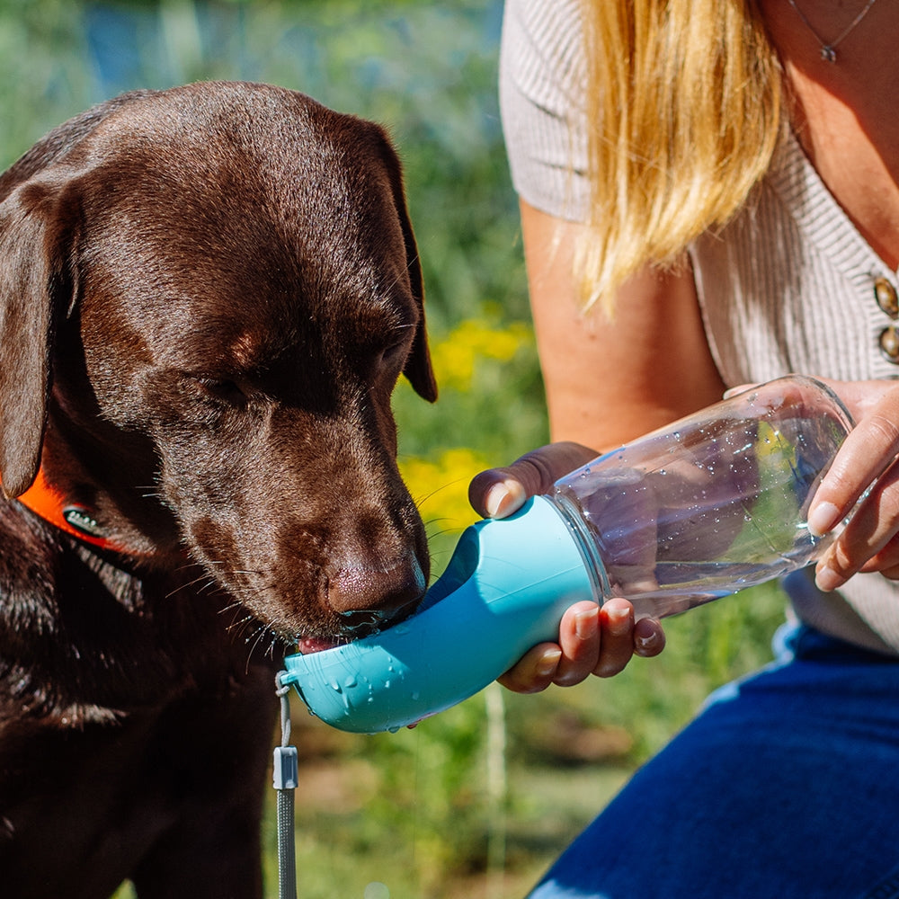 DUVO Ferðaflaska bleik 450ml