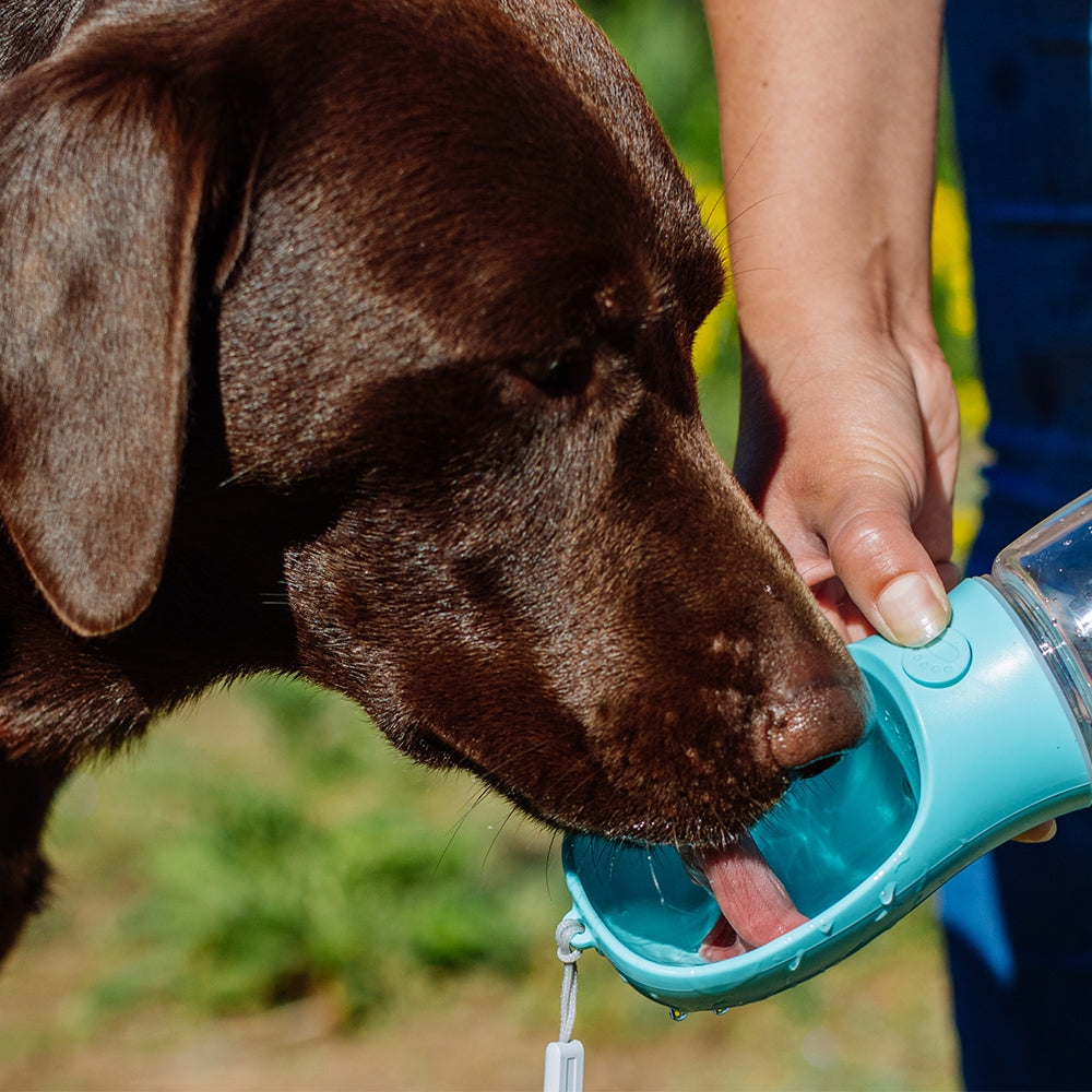 DUVO Ferðaflaska bleik 450ml