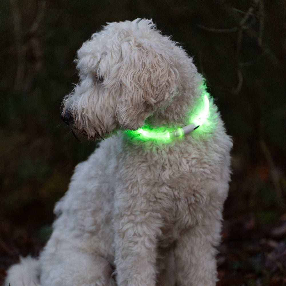 Nobby LED VISIBLE Hundaól GUL