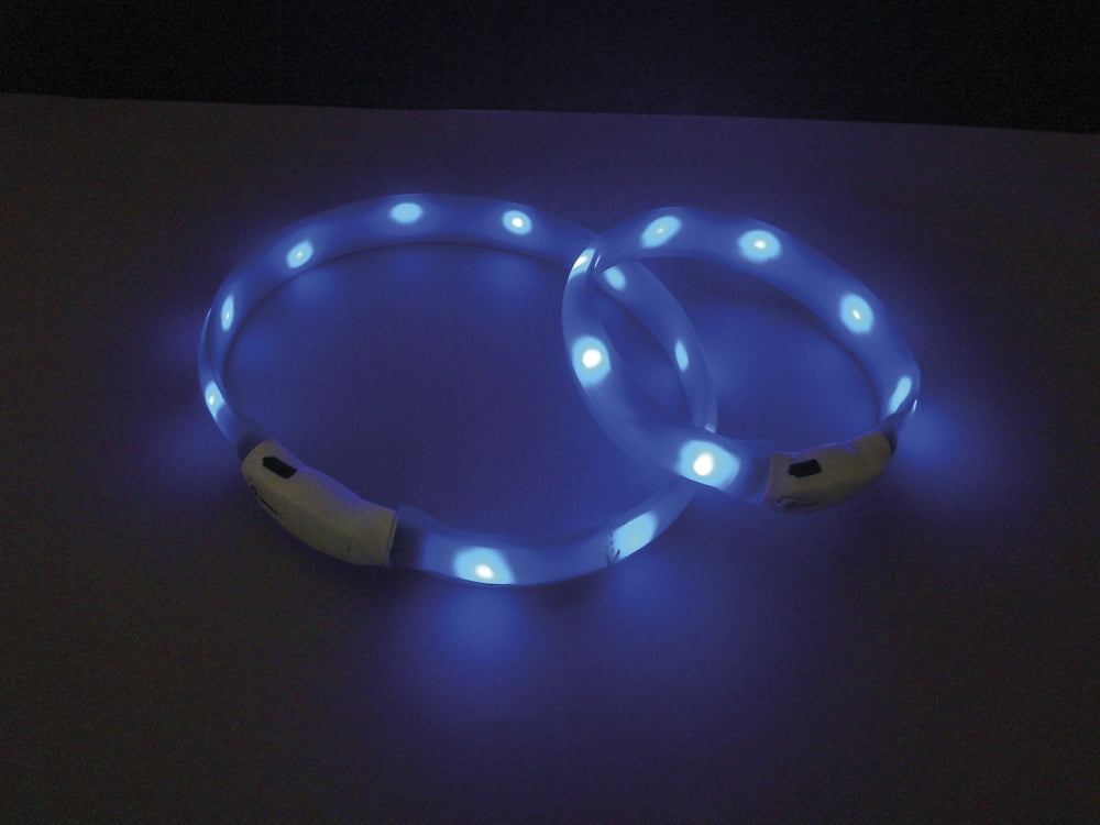 Nobby LED VISIBLE Hundaól BLÁ