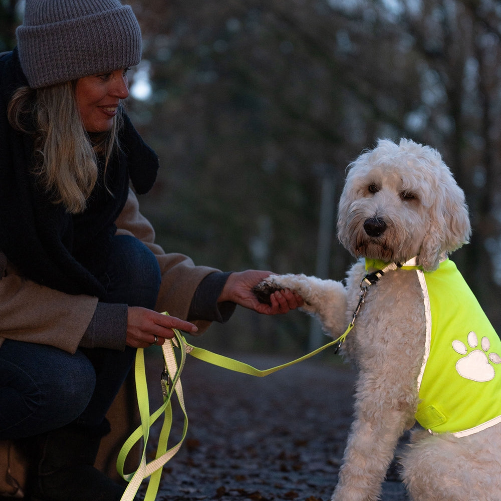 Safety Vest, endurskins vesti hunda (XS-XL)