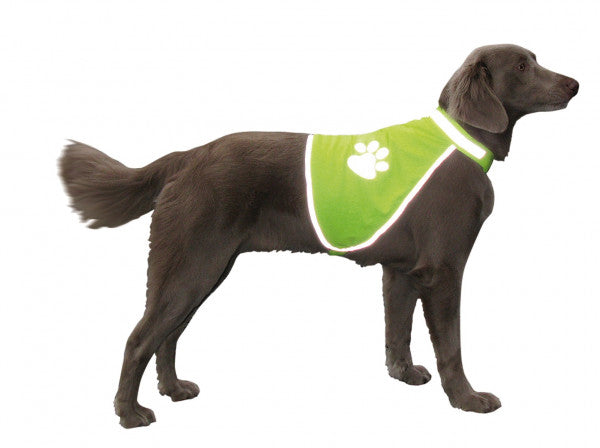 Safety Vest, endurskins vesti hunda (XS-XL)