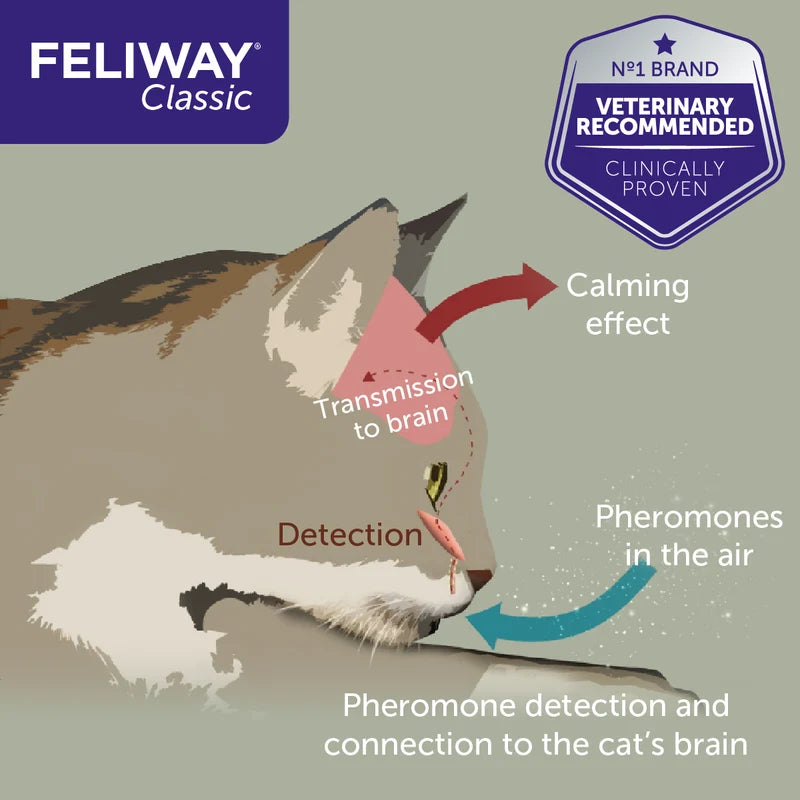 FELIWAY CLASSIC Happy Cat 48 ml áfylling