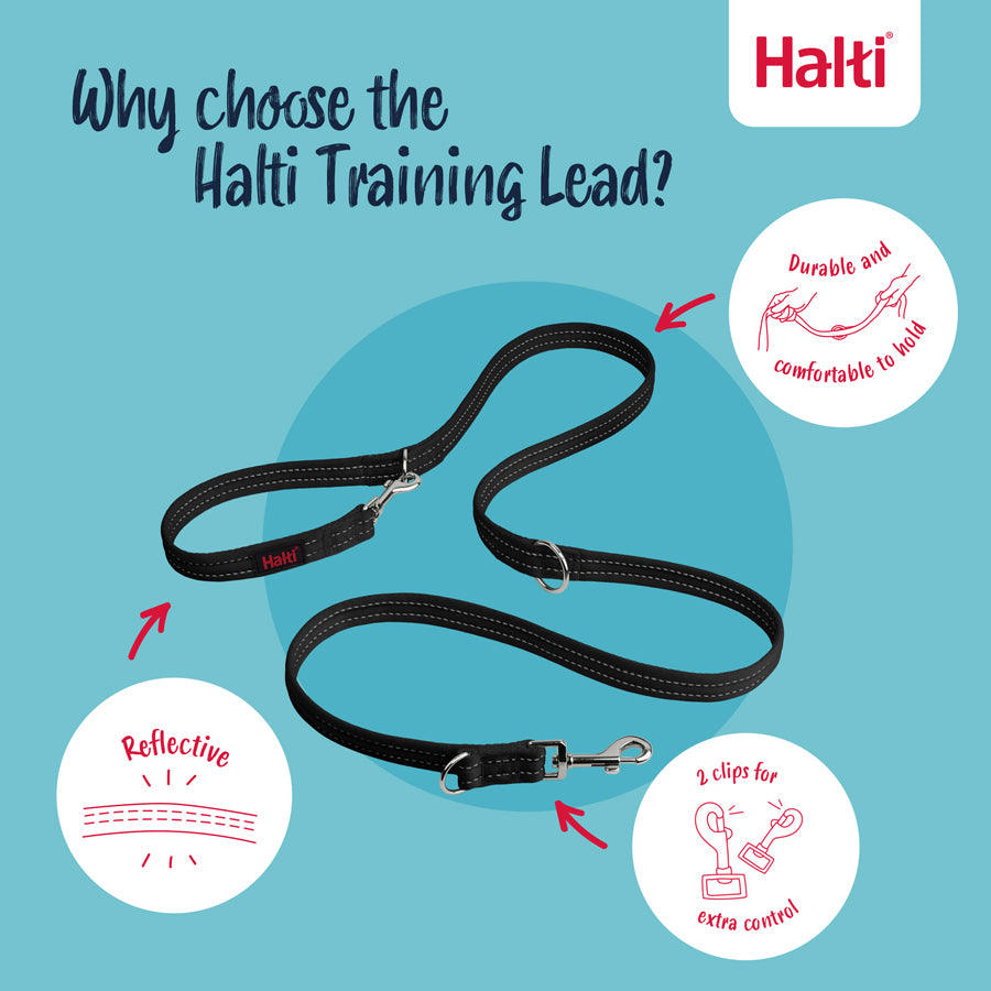 HALTI Training Lead TAUMUR svartur 2m SMALL