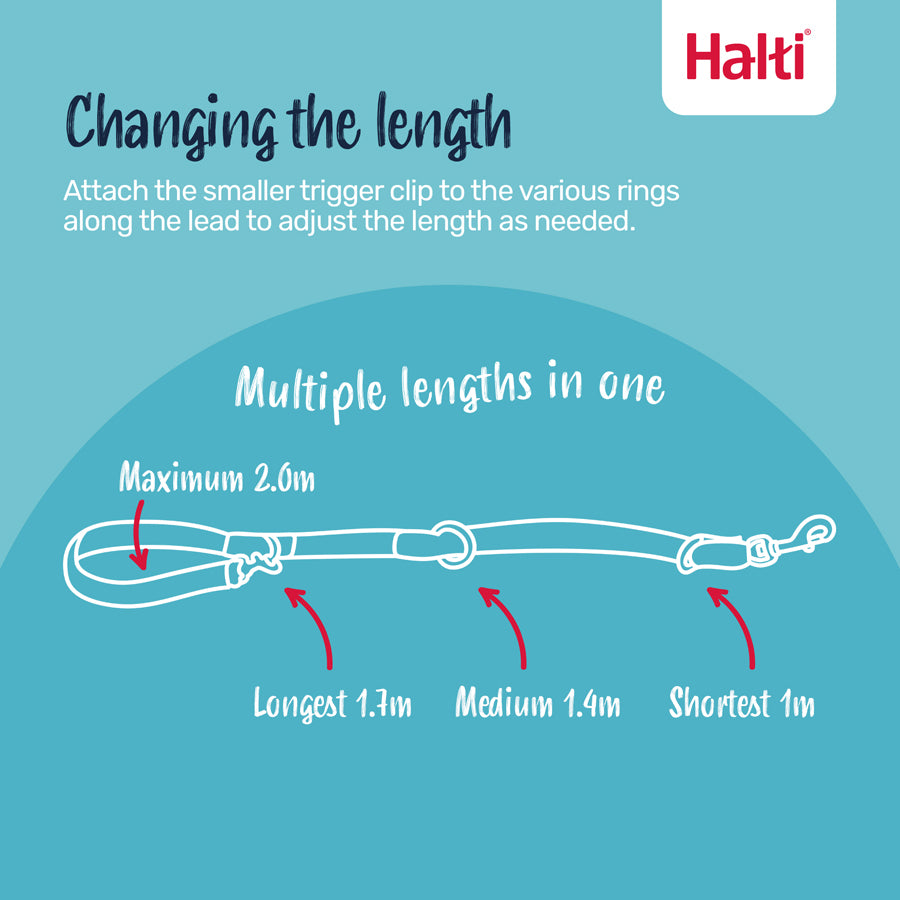 HALTI Training Lead TAUMUR svartur 2m SMALL