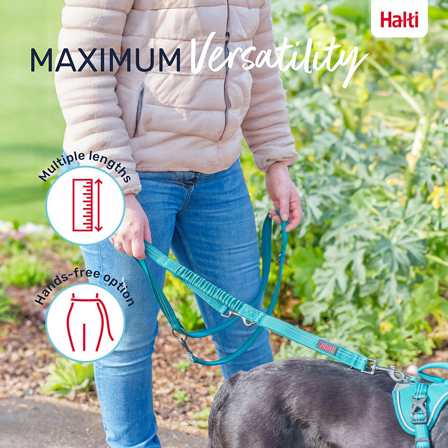 HALTI Anatomy Multi Lead TAUMUR grænn