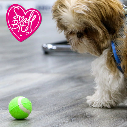 SMALL BITE mini tennis balls (6 stk/pk), mynd 2