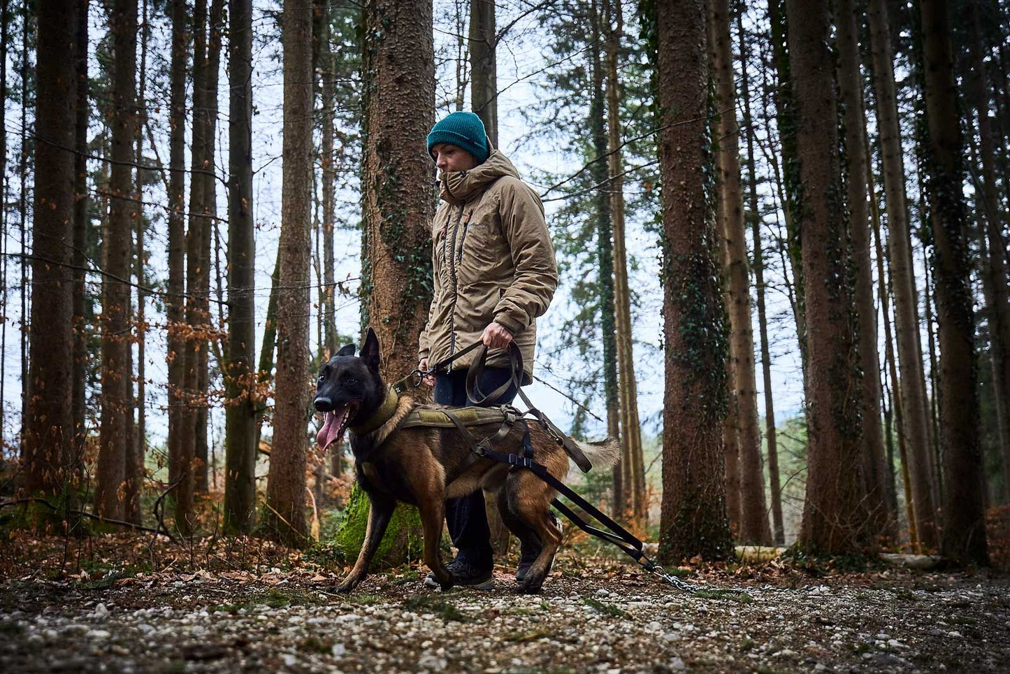 Solid collar "Working Dog" Black (ýmsar stærðir)