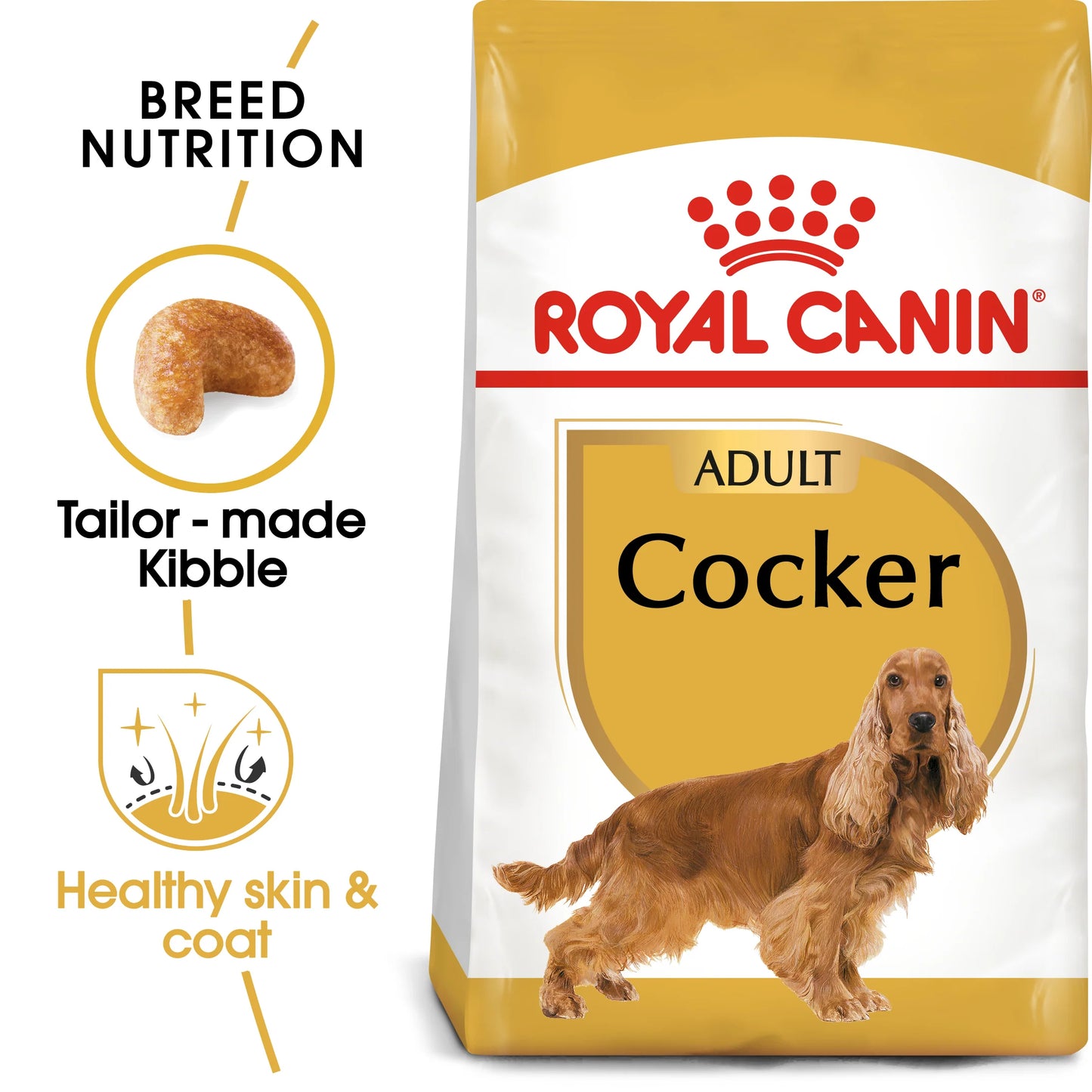 COCKER SPANIEL