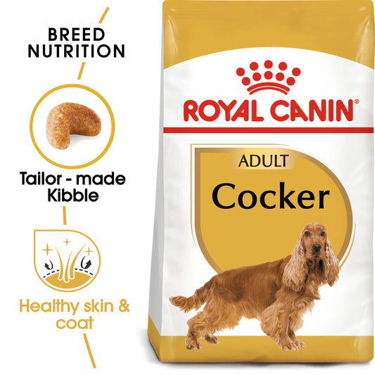 COCKER SPANIEL