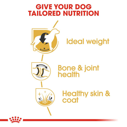 RC Dog LABRADOR ADULT, mynd 2