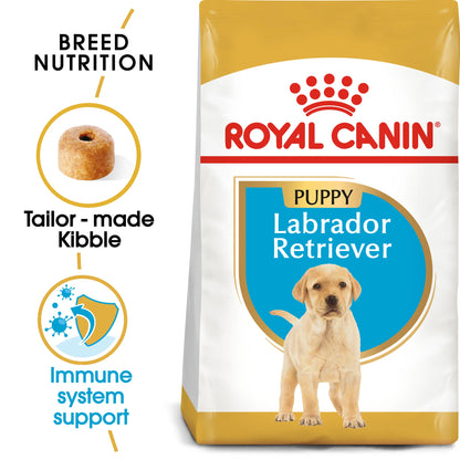 RC Dog LABRADOR PUPPY