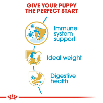 Royal Canin SCHNAUZER PUPPY, mynd 2
