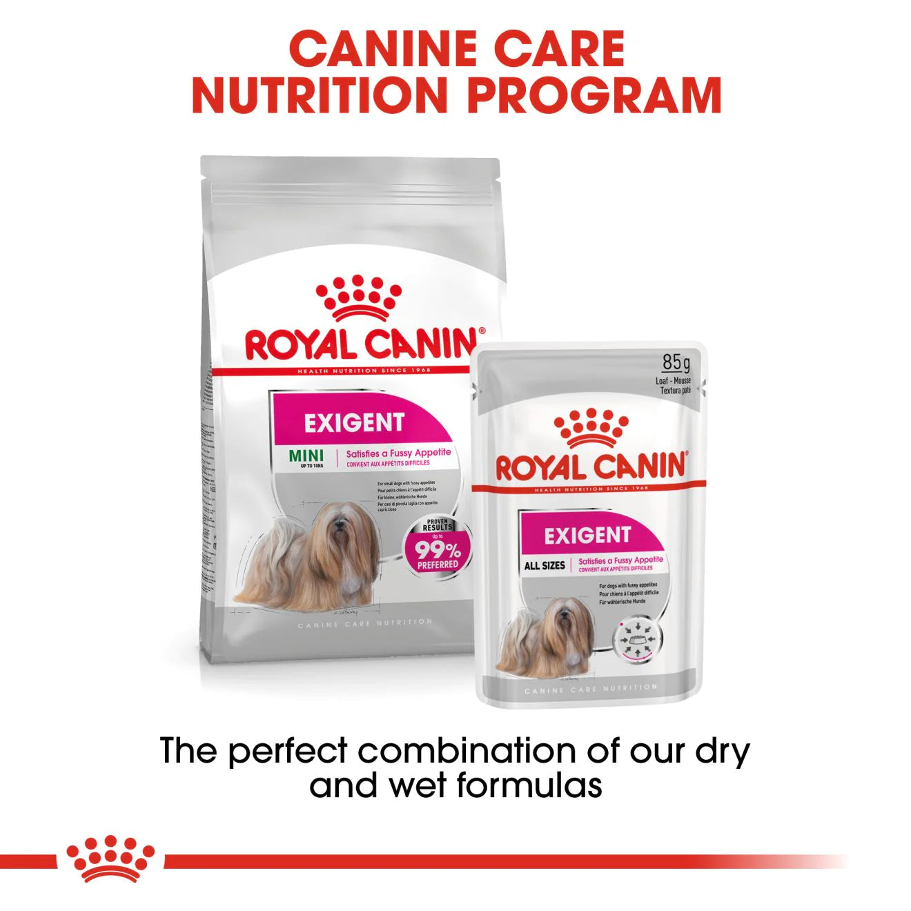 Royal Canin MINI EXIGENT