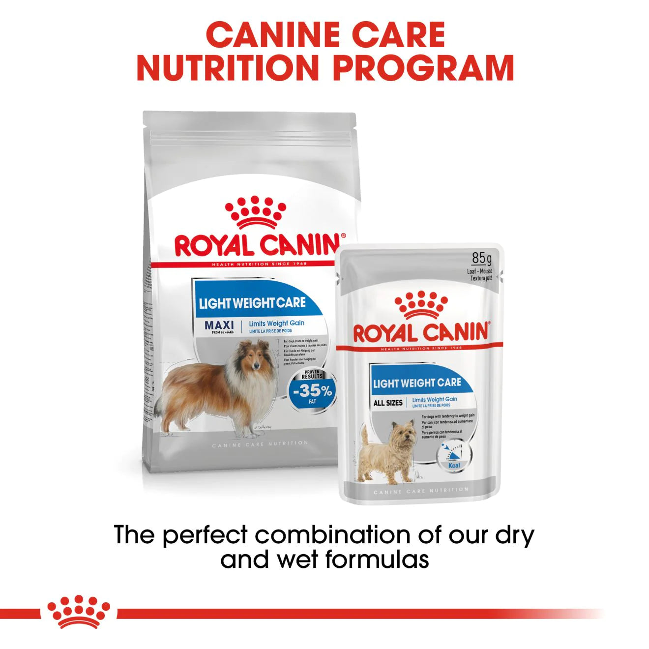 Royal Canin MAXI LIGHT WEIGHT CARE