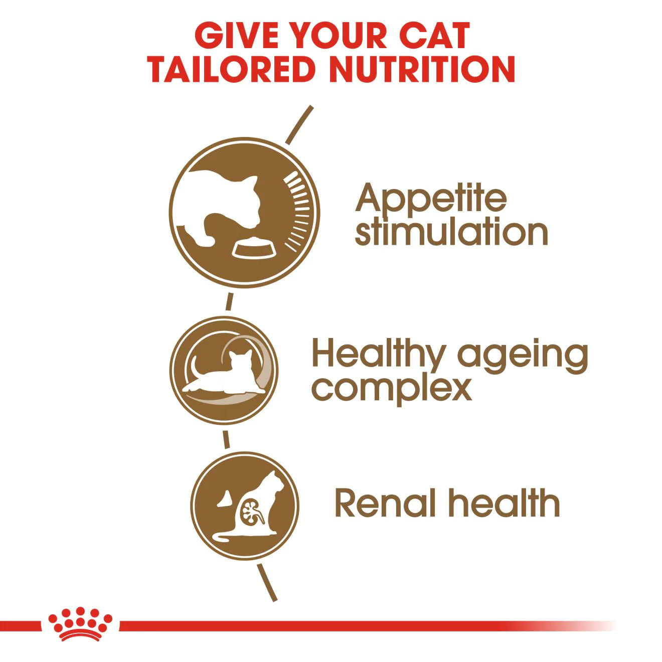 Royal Canin AGEING 12+