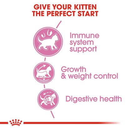 RC KITTEN STERILISED, mynd 2