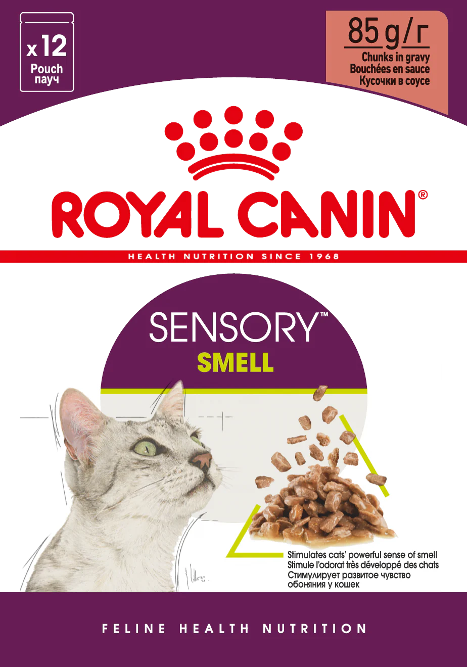 RC Cat SENSORY Smell - BLAUTFÓÐUR