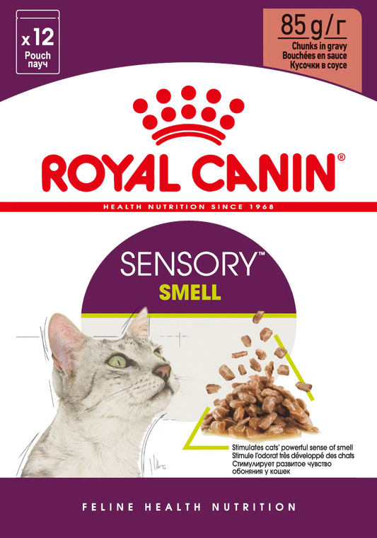 RC Cat SENSORY Smell - BLAUTFÓÐUR