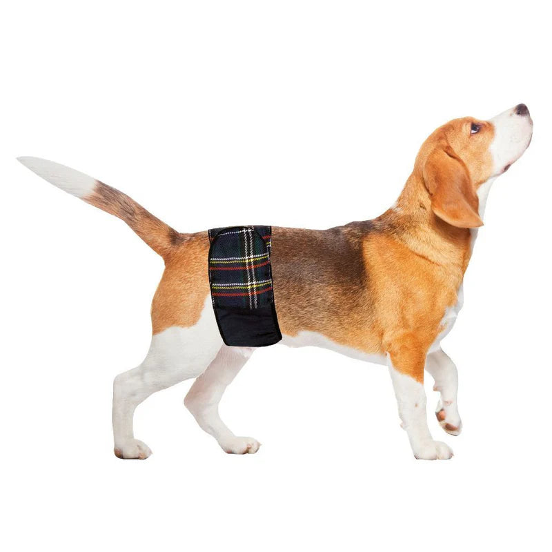 Croci Male wrap up, rakkabindi margnota XS-XXL